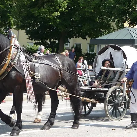 Renner * 부르크하우젠